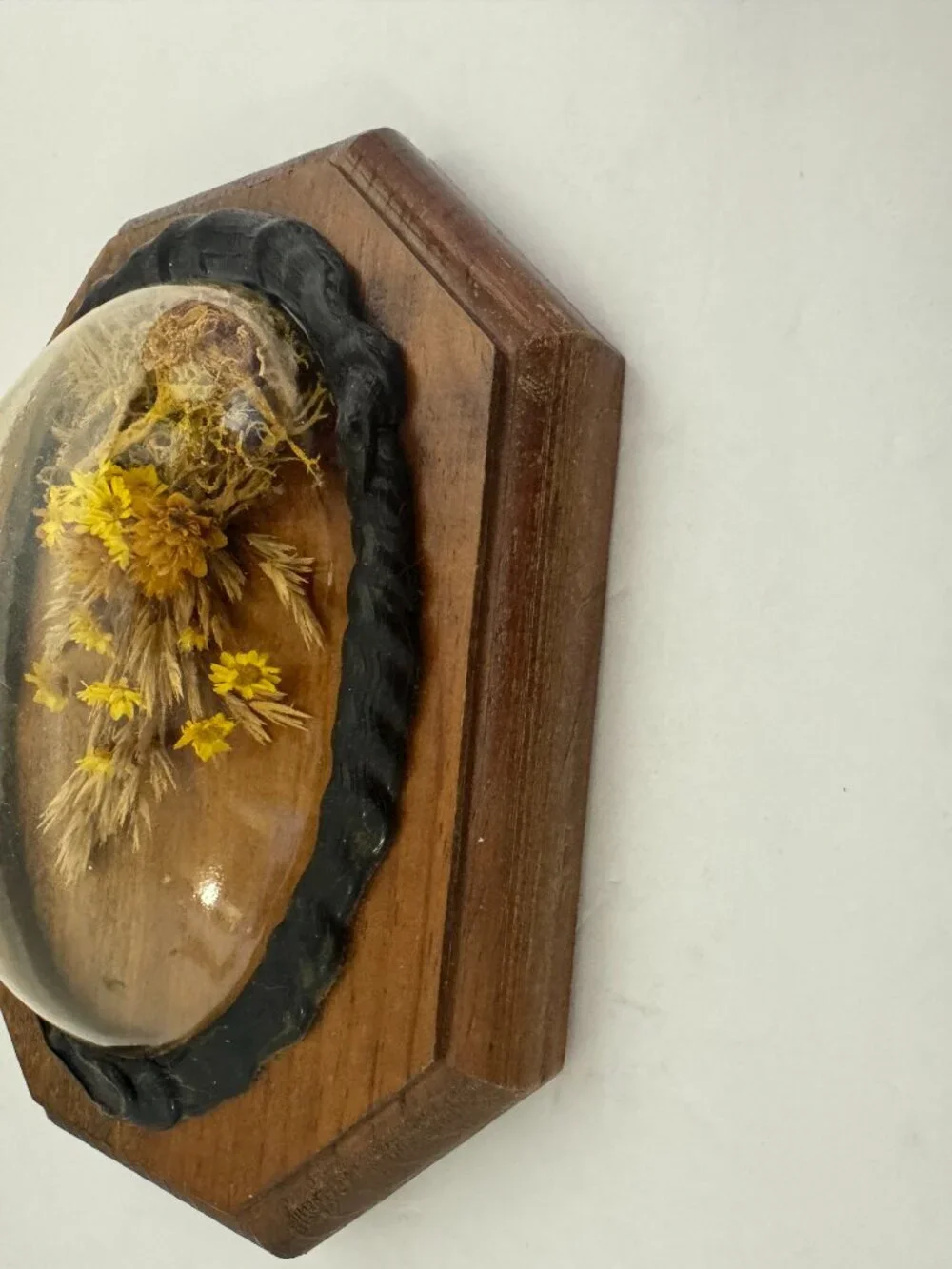 Vintage Dried Flowers Wall Hanging Art Convex Bubble Glass Wood Plaque.